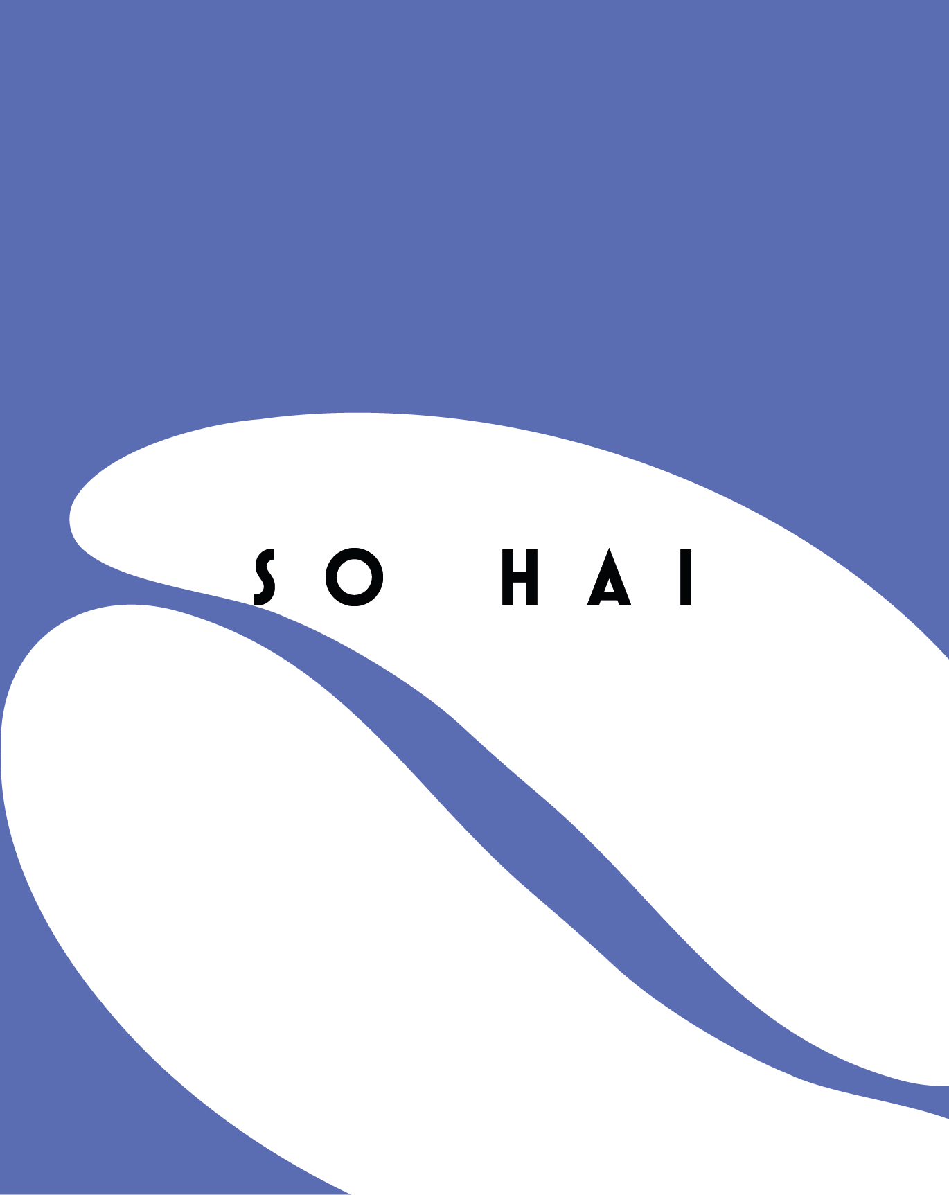 SO HAI Premium Blend: 50% Arabica und 50% Robusta