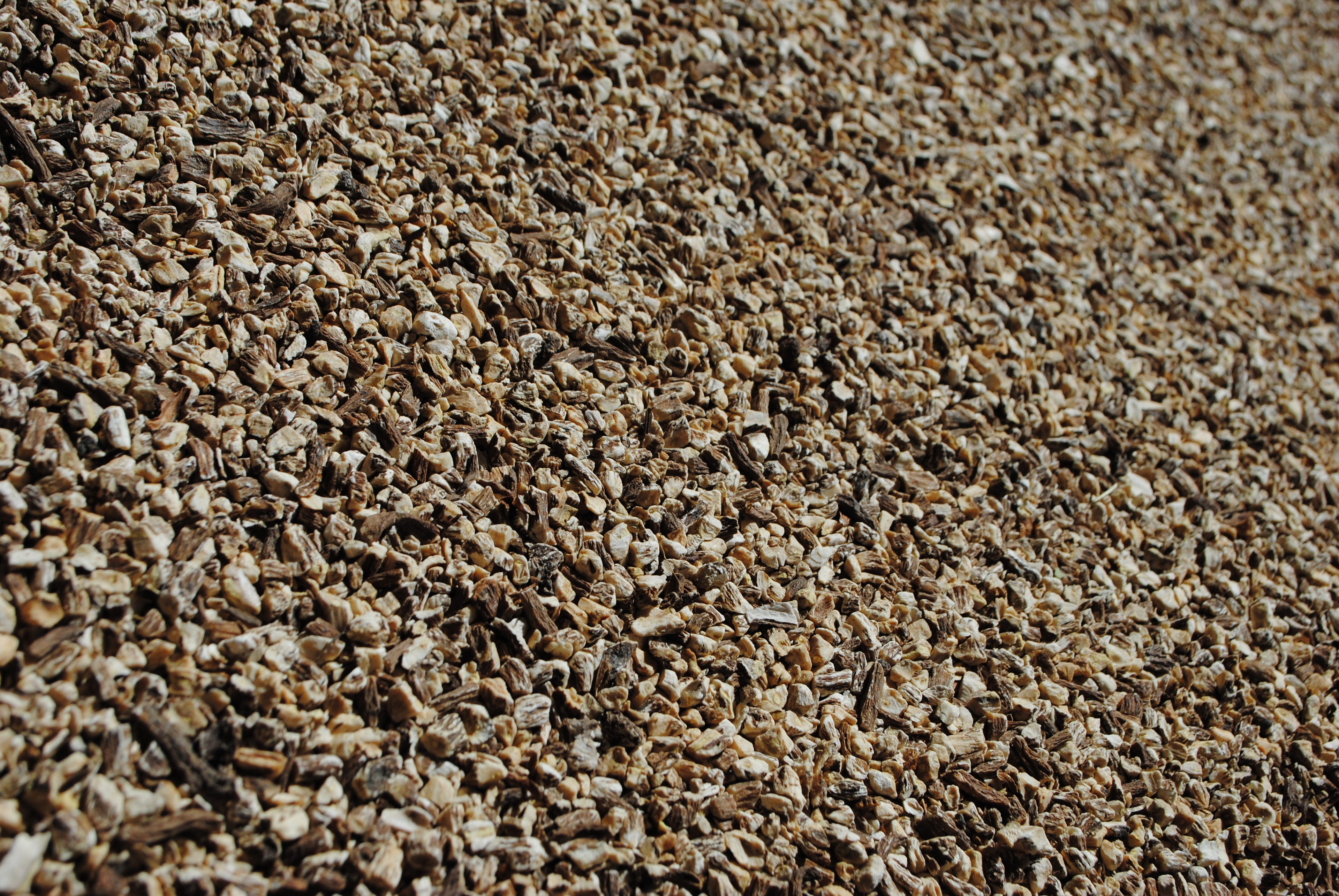 LÖWENZAHNWURZELKAFFEE - Wurzel des Lebens