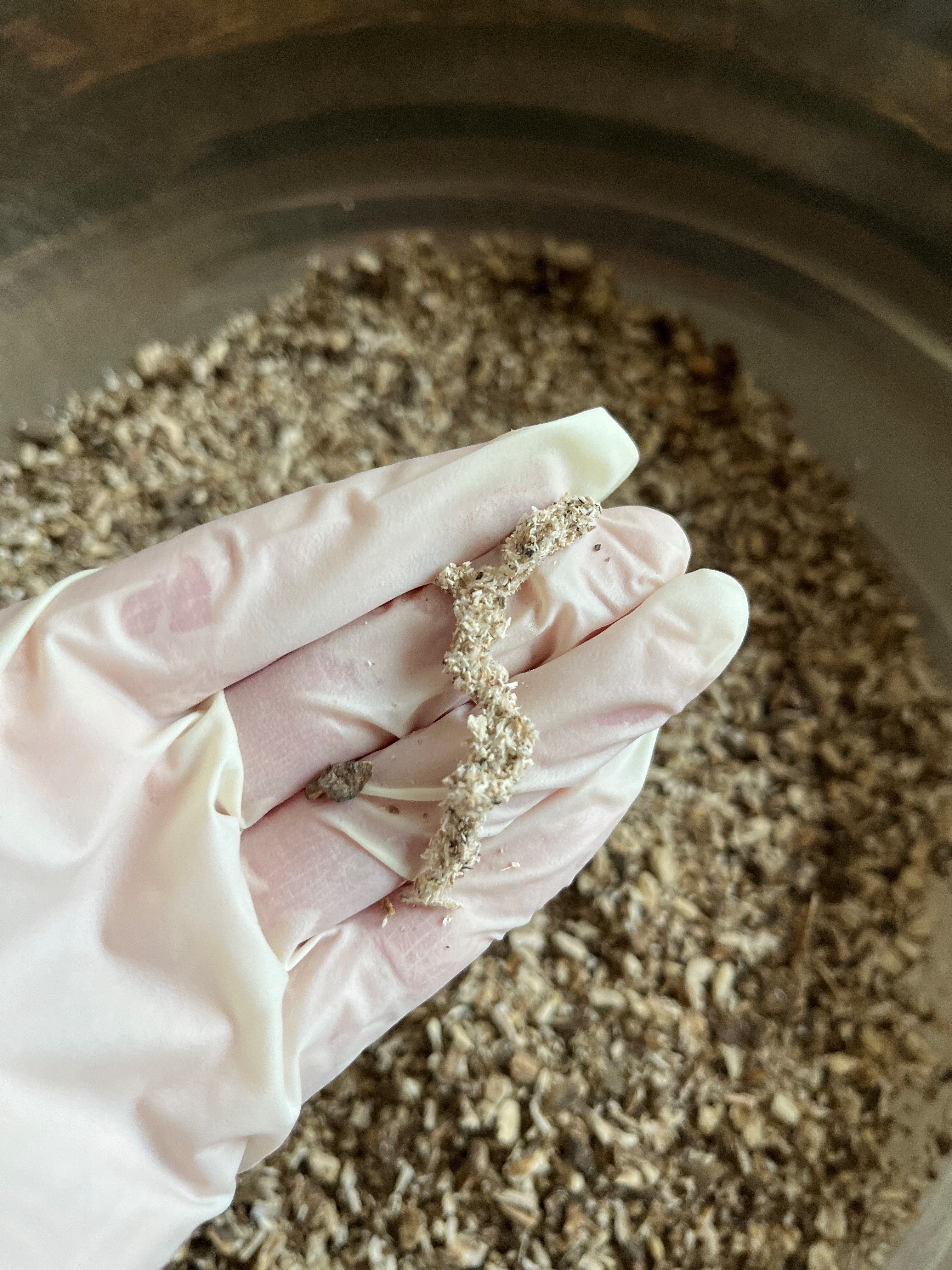 Was genau steckt in diesem leckeren und gesunden Klettenwurzelkaffee?