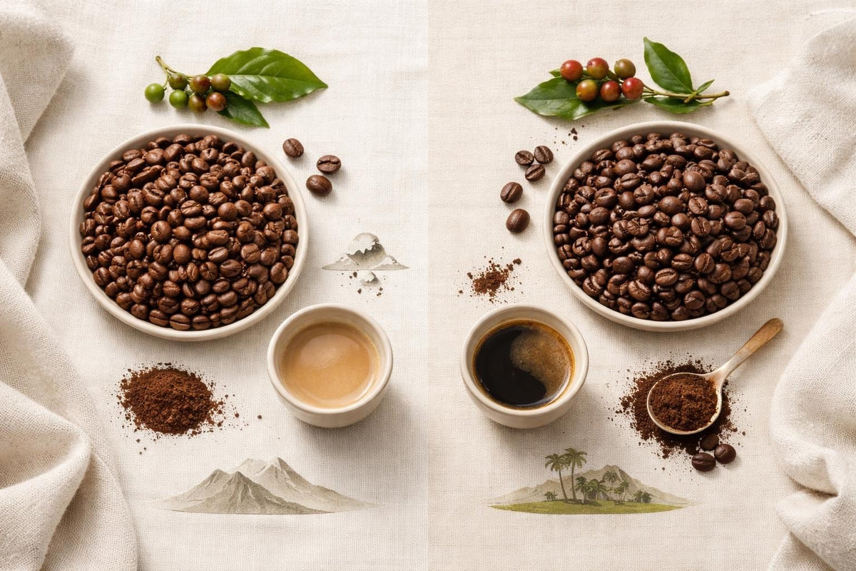 Arabica Robusta: Der Unterschied erklärt | LIEVIE