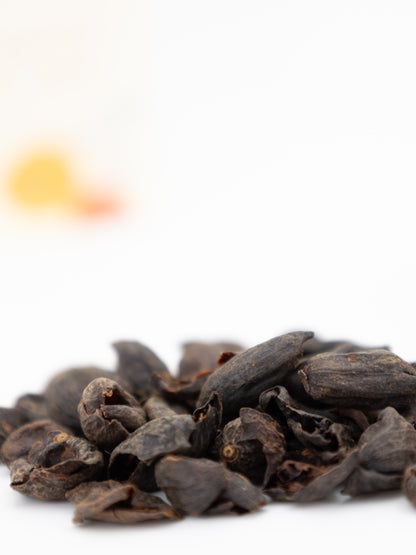 CASCARA Kaffeekirschentee